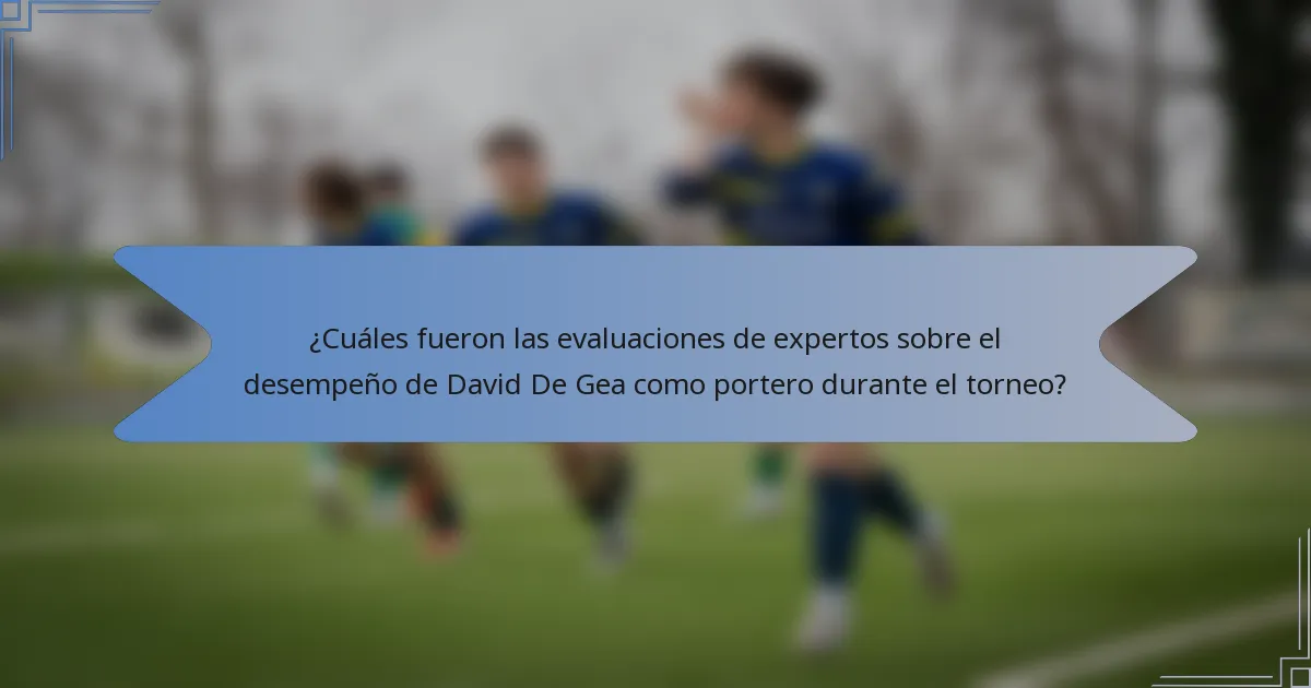 ¿Cuáles fueron las evaluaciones de expertos sobre el desempeño de David De Gea como portero durante el torneo?