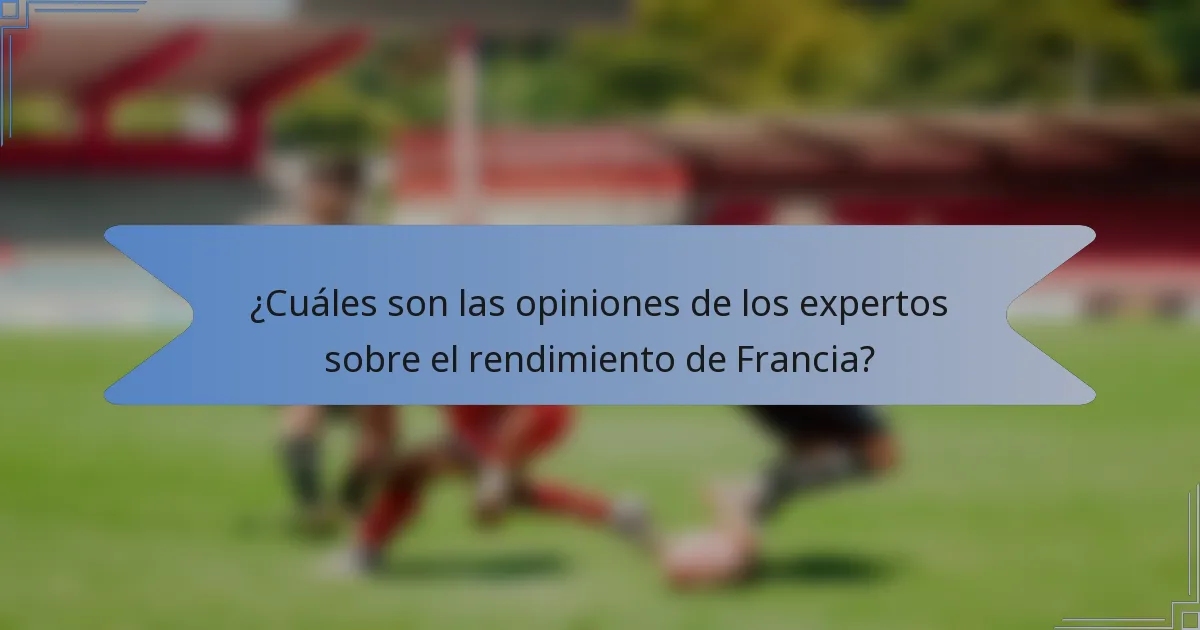 ¿Cuáles son las opiniones de los expertos sobre el rendimiento de Francia?
