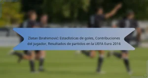 Zlatan Ibrahimović: Estadísticas de goles, Contribuciones del jugador, Resultados de partidos en la UEFA Euro 2016